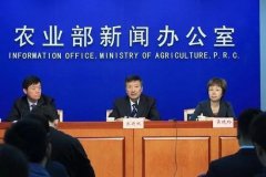 洋种子冲击中国种子市场